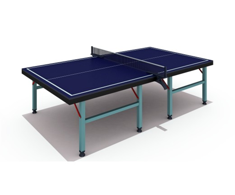 02-06Table tennis table