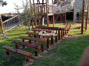 Huanghua Pear Pine Wood Corrosion Wood Locust Wood Non - Standard Custom Playground Equipment Slippery